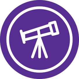 Theme Icon